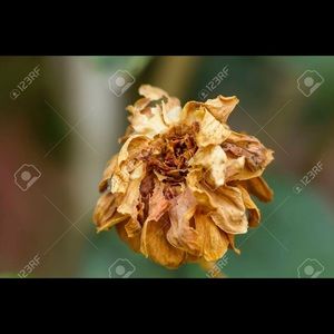 Meet your Posher, Yazmin